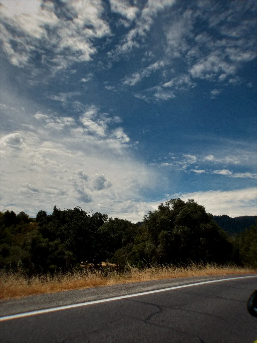 High cloud over trees from the shoulder of a highway